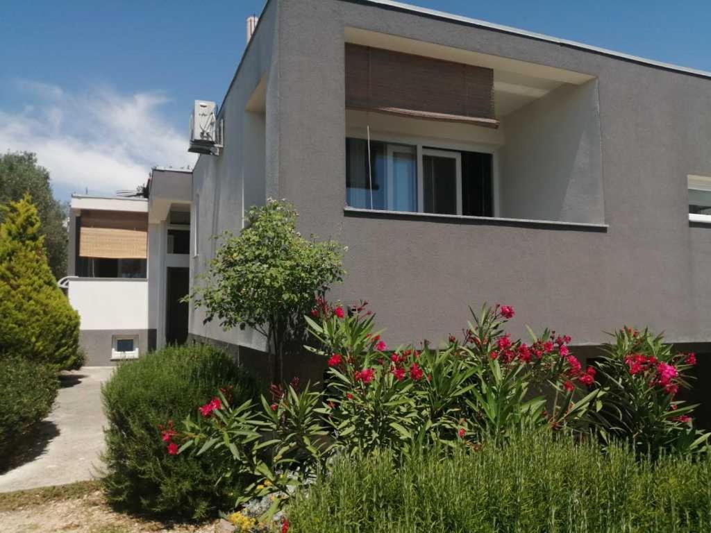 Apartments Dora 2 Bibinje Ngoại thất bức ảnh